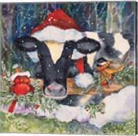 Winter Cow Fine Art Print