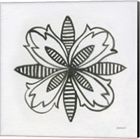 Patterns of the Amazon Icon XVI Fine Art Print