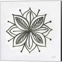 Patterns of the Amazon Icon XIV Fine Art Print