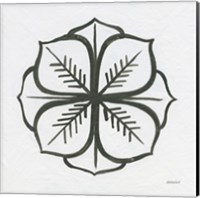 Patterns of the Amazon Icon II Fine Art Print