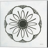 Patterns of the Amazon Icon V Fine Art Print
