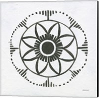 Patterns of the Amazon Icon VII Fine Art Print