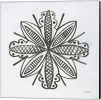 Patterns of the Amazon Icon IV Fine Art Print