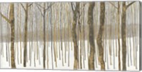 Woods in Winter Fine Art Print
