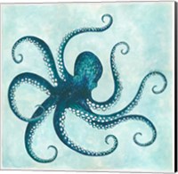 Octopus II Fine Art Print