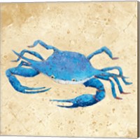 Blue Crab V Neutral Crop Fine Art Print