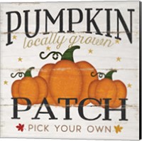 Pumpkin Patch Fine Art Print