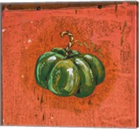 Green Pumpkin Fine Art Print