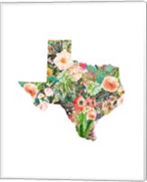 Texas Floral Collage III Fine Art Print
