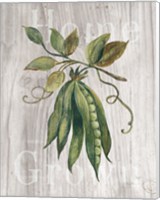 Market Vegetables II on Wood Fine Art Print