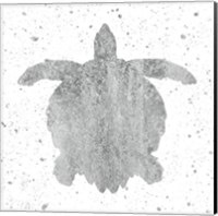 Silver Sea Life Turtle Fine Art Print