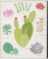Succulent Chart III on Wood Fine Art Print