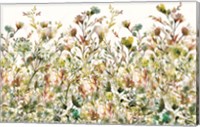 Transparent Garden Spice Pattern Fine Art Print