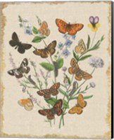 Butterfly Bouquet I Linen Fine Art Print