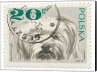 Poland Stamp II on White Fine Art Print