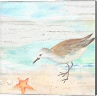 Sandpiper Beach II Fine Art Print