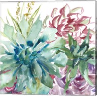 Succulent Garden Watercolor II Fine Art Print