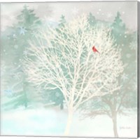 Winter Wonder II Fine Art Print