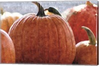 Fall Pumpkin Fine Art Print