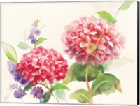 Watercolor Hydrangea Fine Art Print