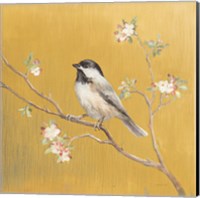 Black Capped Chickadee on Gold Fine Art Print