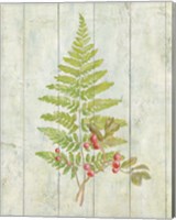Natural Floral XIII Fine Art Print