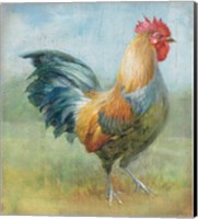 Noble Rooster III Vintage No Border Fine Art Print