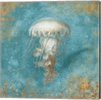 Treaures from the Sea VI Aqua Fine Art Print
