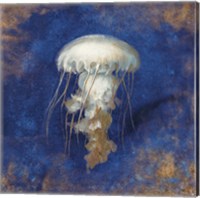 Treasures from the Sea Indigo VI Fine Art Print