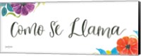 La La Llama VI Fine Art Print
