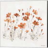 Wildflowers III Orange Fine Art Print