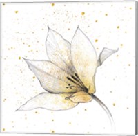 Gilded Graphite Floral IX Fine Art Print