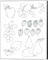 Line Art Fruits Fine Art Print