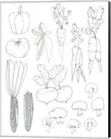 Line Art Veggies Fine Art Print