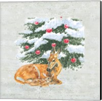 Christmas Critters VII Fine Art Print