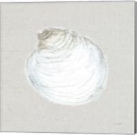Serene Shells II Tan Fine Art Print