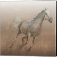 Stallion I on Leather Fine Art Print