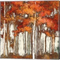 October Woods Light Fine Art Print