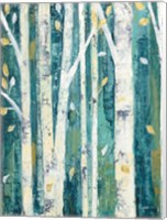 Birches in Spring II Fine Art Print