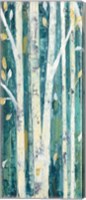 Birches in Spring Panel I Fine Art Print