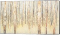 Birches in Winter Fine Art Print