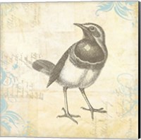 Engraved Birds II Fine Art Print