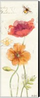 Painted Poppies VI Fine Art Print
