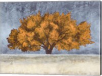 Golden Oak Fine Art Print