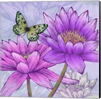 Nympheas and Butterflies (detail) Fine Art Print