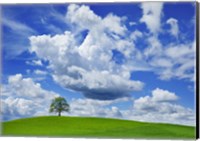 Oak and clouds, Bavaria, Germany Fine Art Print