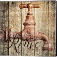 Rinse Fine Art Print