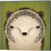 Baby Hedgehog Fine Art Print