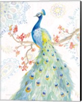 Jaipur II Fine Art Print