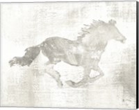 Mustang Study Neutral Fine Art Print